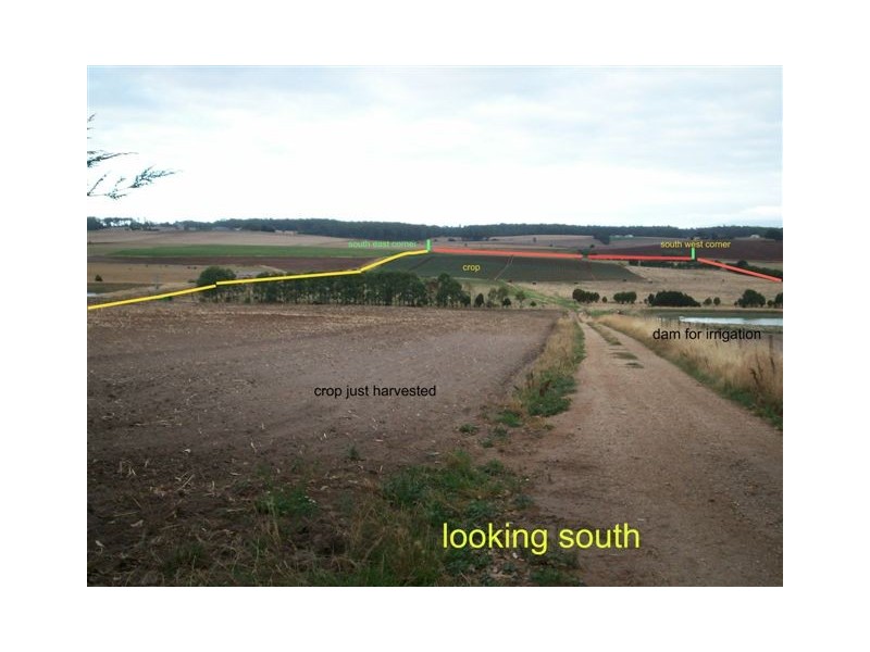 105 Blacks Road, Wesley Vale TAS 7307