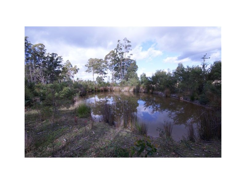 286 Coal Hill Road, Latrobe TAS 7307