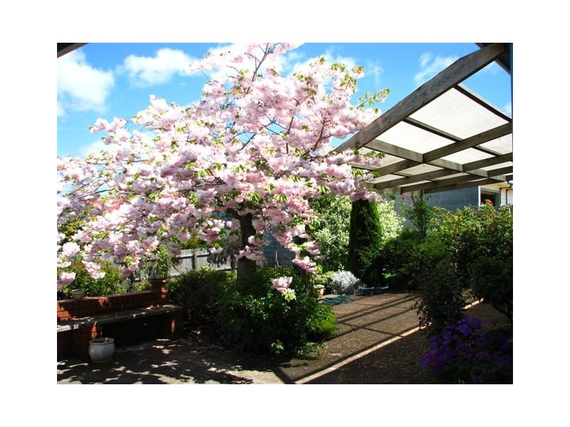 15 Hilltop Avenue, Devonport TAS 7310