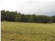 100 Ahernes Road, Paloona TAS 7310
