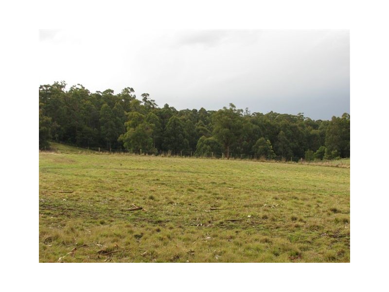 100 Ahernes Road, Paloona TAS 7310