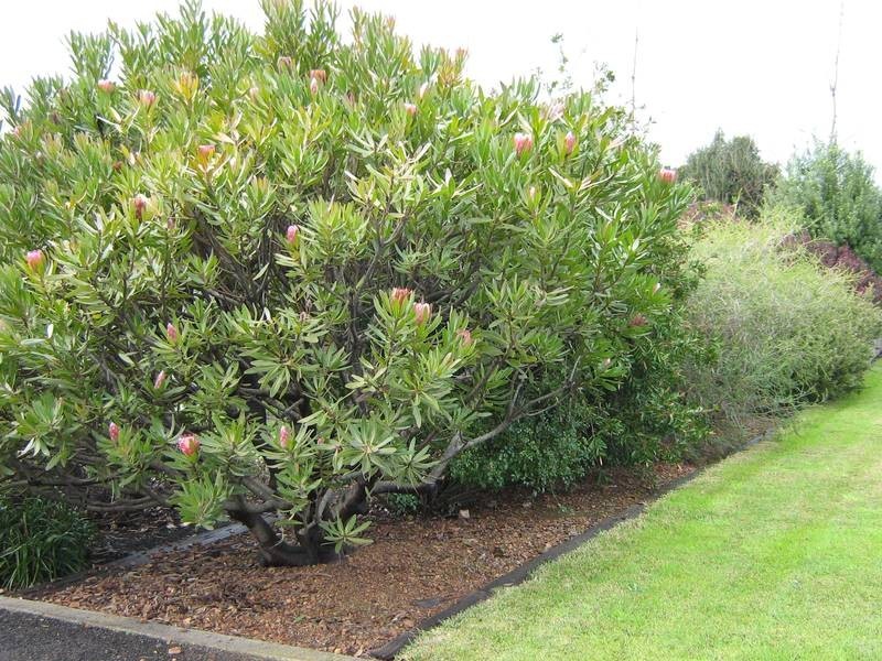 746 Forth Road, Forth TAS 7310