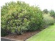746 Forth Road, Forth TAS 7310