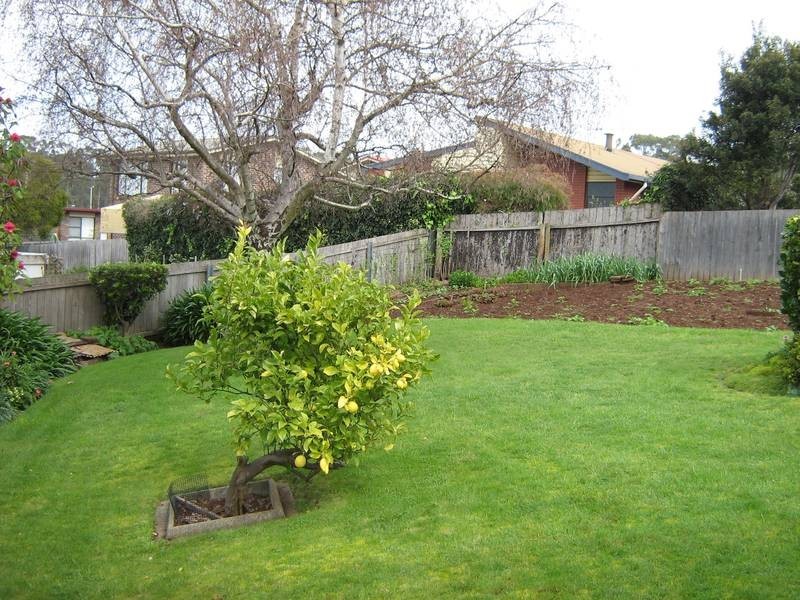 6 Wingara Court, Devonport TAS 7310