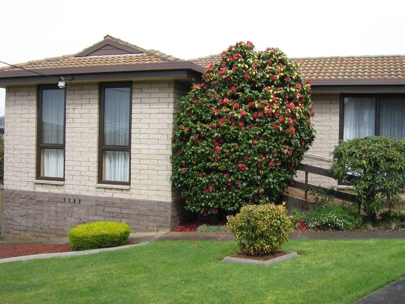 6 Wingara Court, Devonport TAS 7310