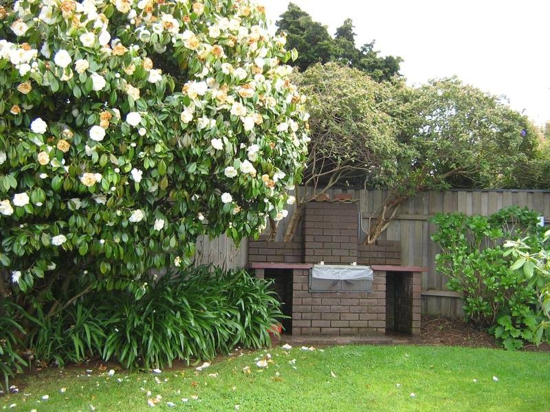 6 Wingara Court, Devonport TAS 7310