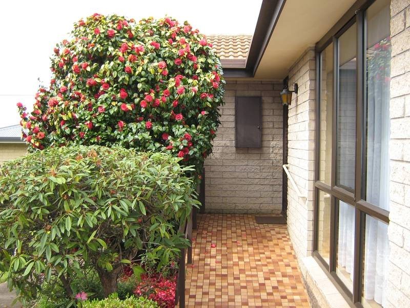6 Wingara Court, Devonport TAS 7310