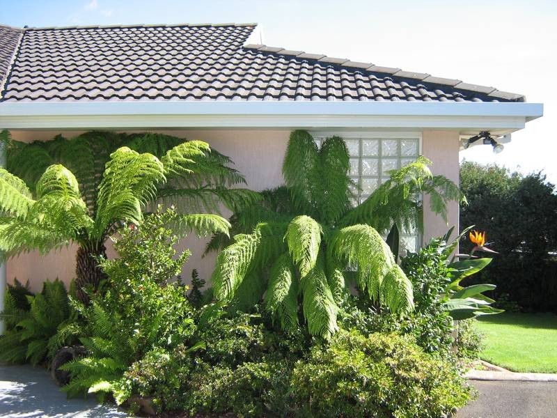10a Cocker Place, Devonport TAS 7310