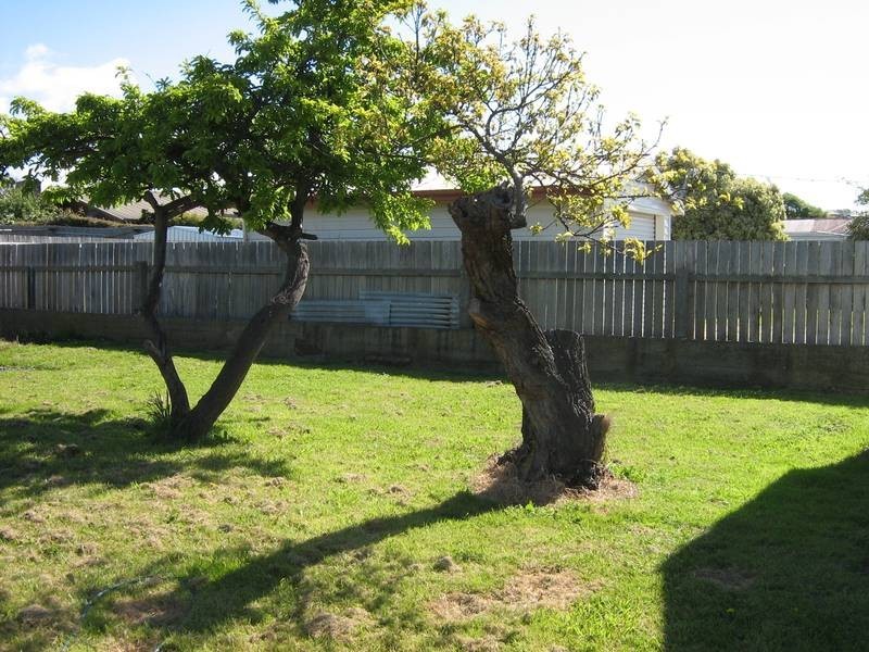 93 George Street, Devonport TAS 7310