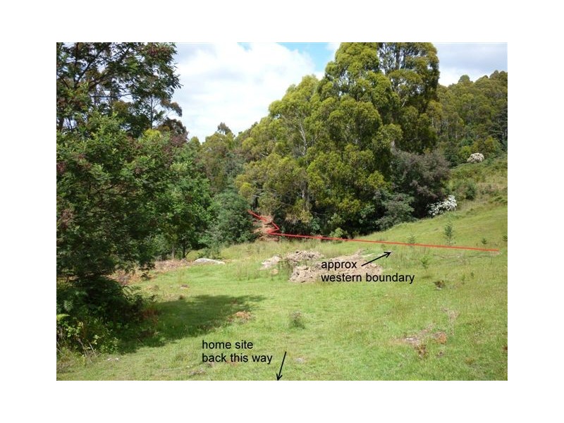 Lot 12,  Roupe Road, Lower Barrington TAS 7306