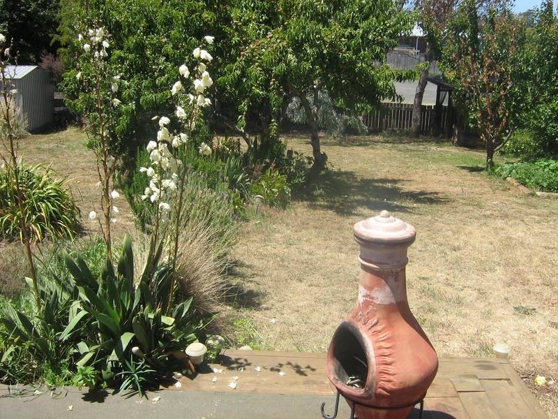 119 David Street, East Devonport TAS 7310