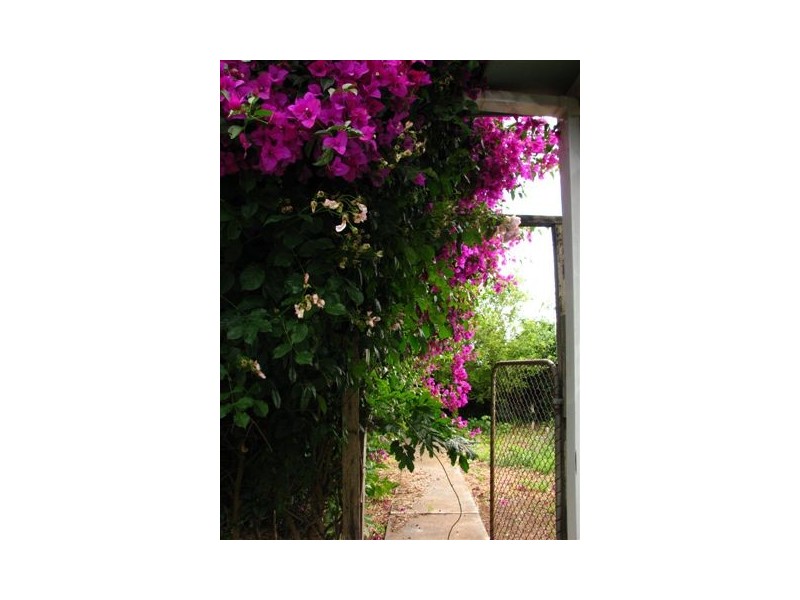 9 Rose Court, Devonport TAS 7310