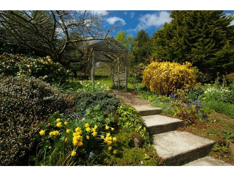 15 Gilbert Street, Forth TAS 7310