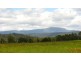 Lower Wilmot TAS 7310
