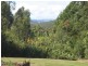 1597 Wilmot Road, Lower Wilmot TAS 7310