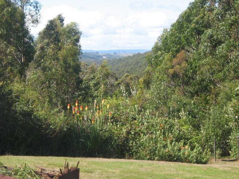 1597 Wilmot Road, Lower Wilmot TAS 7310
