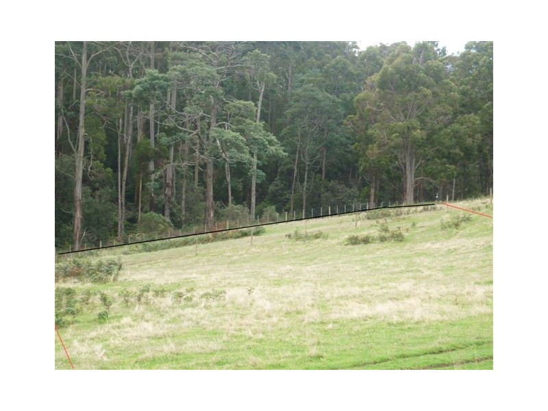 37 Roope Road, Lower Barrington TAS 7306