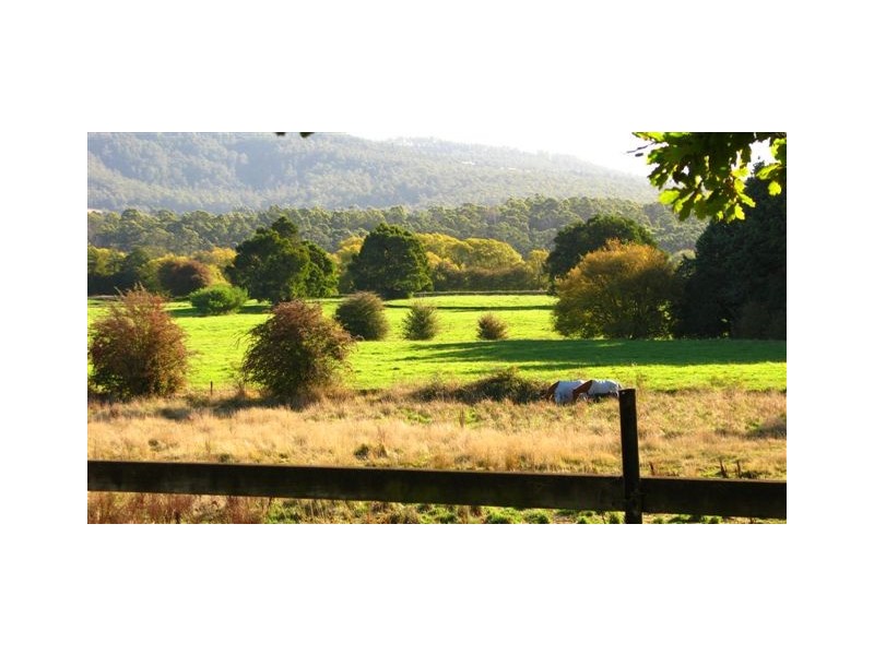51 Hamilton Street, Latrobe TAS 7307