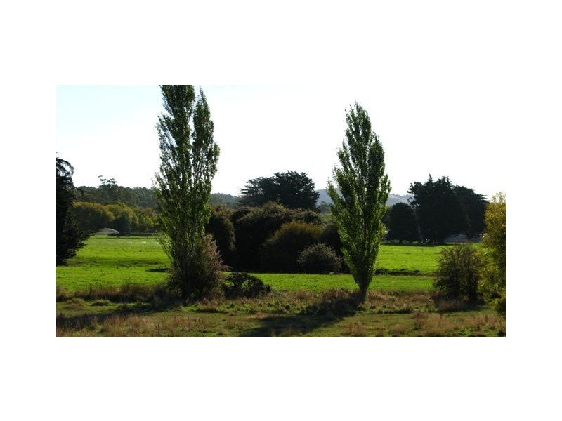 51 Hamilton Street, Latrobe TAS 7307