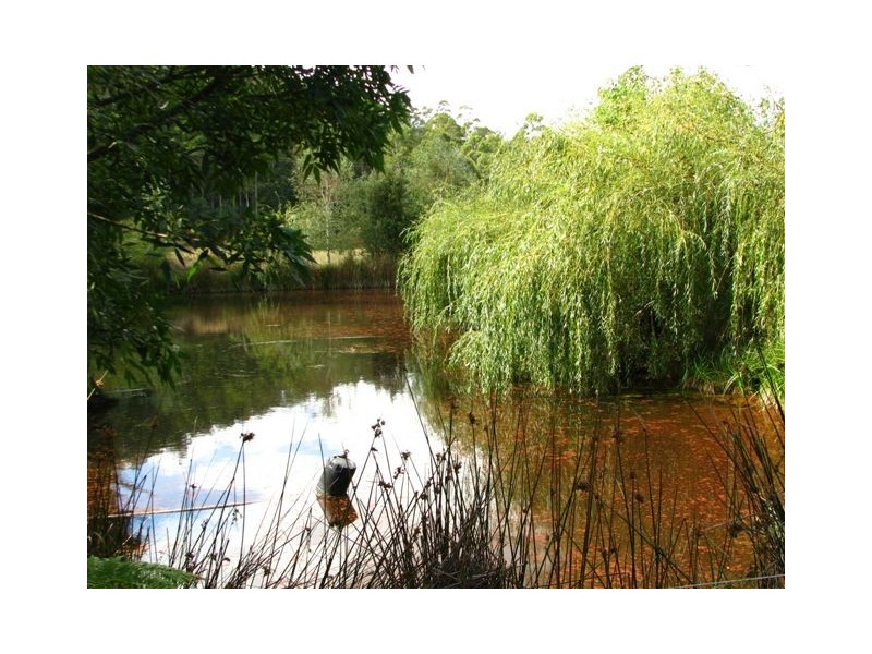 45 Patawalonga Road, Claude Road TAS 7306