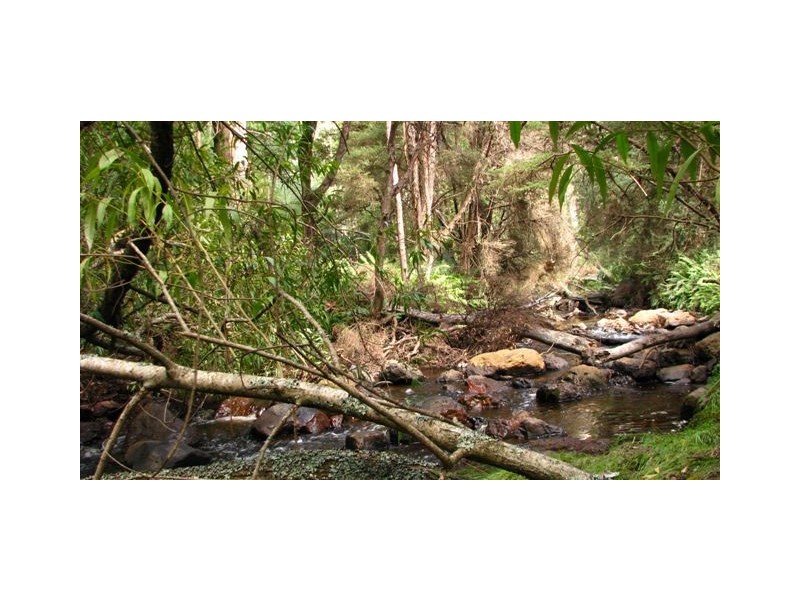 45 Patawalonga Road, Claude Road TAS 7306