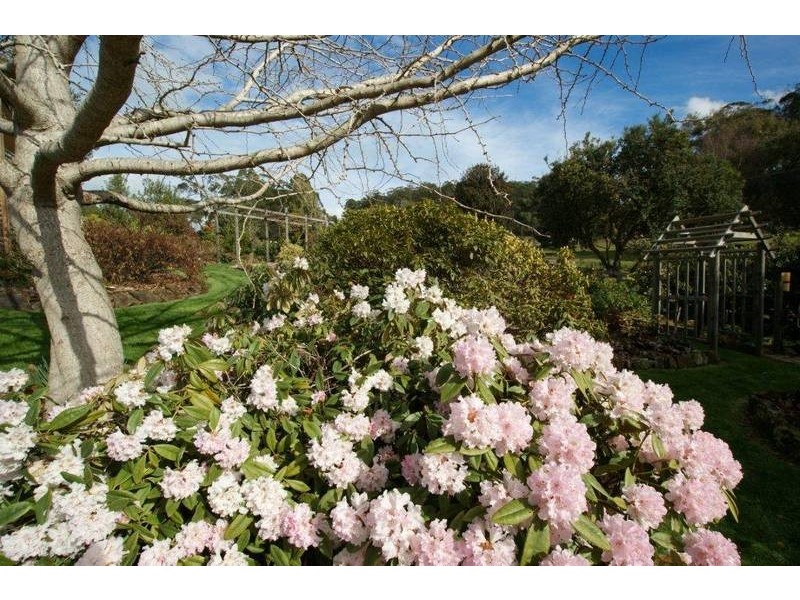31 Wrenswood Drive, Quoiba TAS 7310