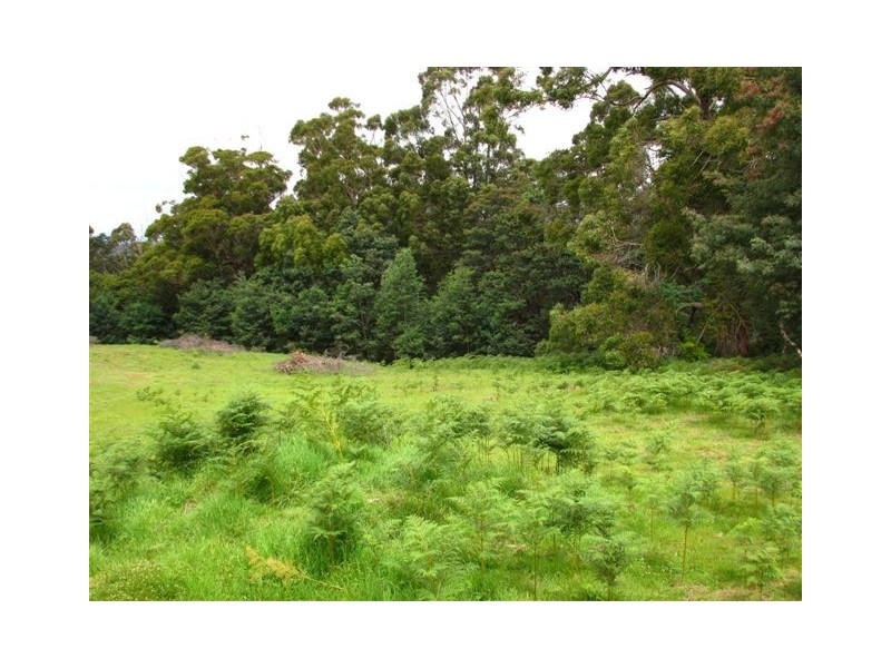 20 Blackwood Lane, Spreyton TAS 7310