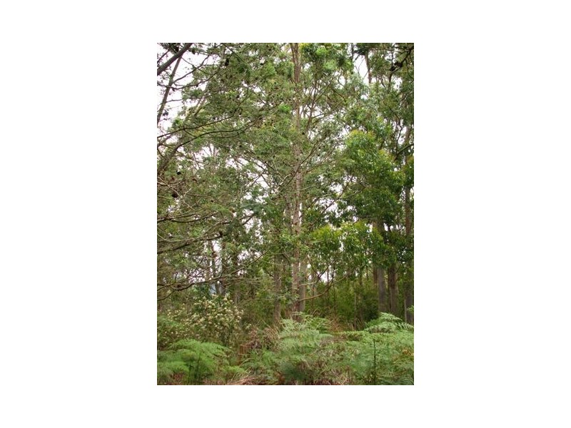 20 Blackwood Lane, Spreyton TAS 7310