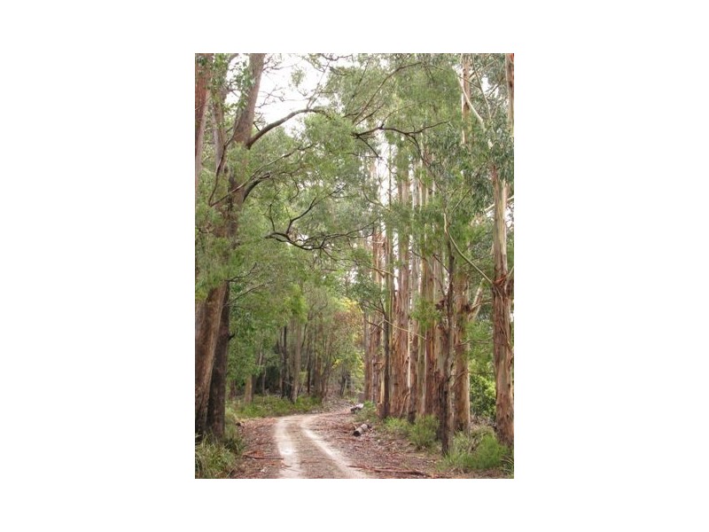 100 Ahernes Road, Paloona TAS 7310