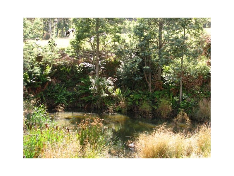 754 Nook Road, Nook TAS 7306