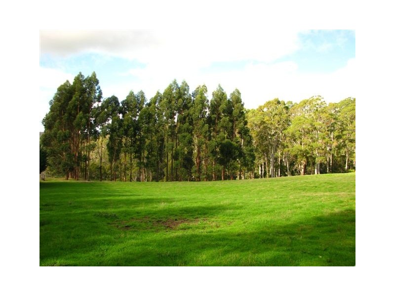 135 Maloneys Road, Sunnyside TAS 7305