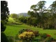 135 Maloneys Road, Sunnyside TAS 7305