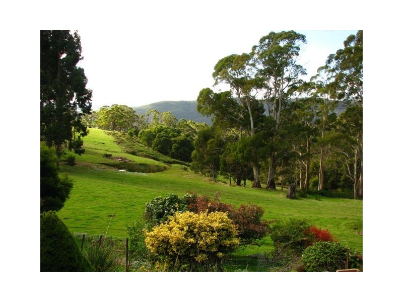 135 Maloneys Road, Sunnyside TAS 7305