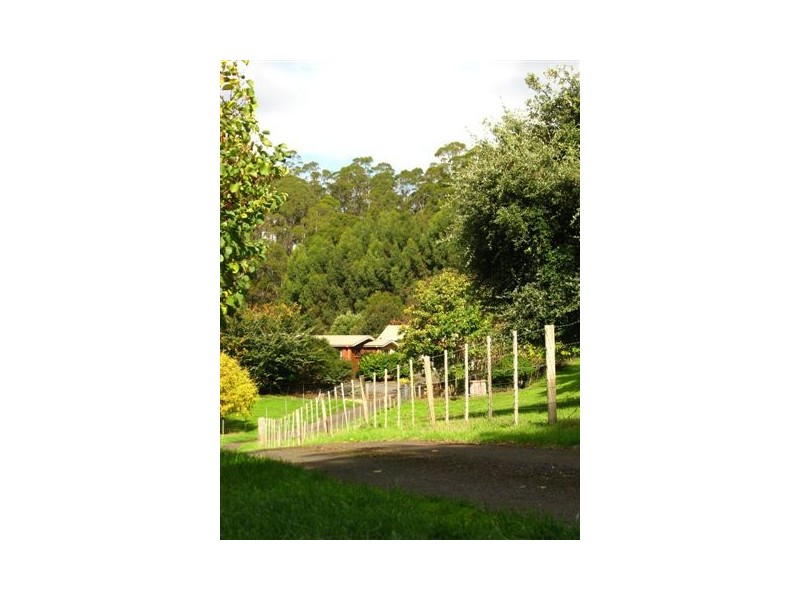 135 Maloneys Road, Sunnyside TAS 7305