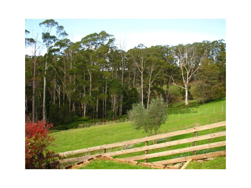 135 Maloneys Road, Sunnyside TAS 7305