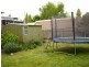 3 Berkeley Court, Miandetta TAS 7310