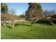 26 Gilbert Street, Latrobe TAS 7307