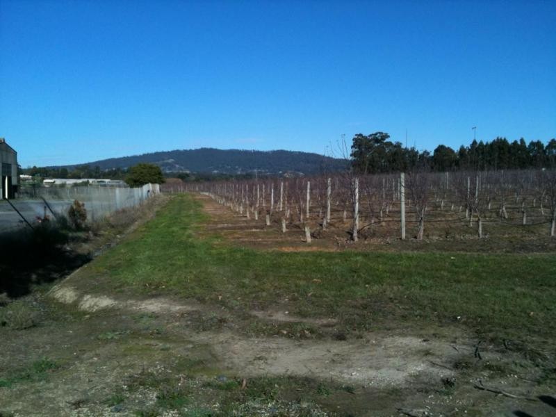 13 Kelcey Tier Road, Spreyton TAS 7310