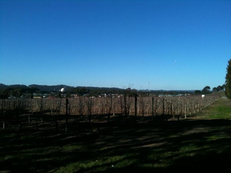 13 Kelcey Tier Road, Spreyton TAS 7310