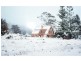 1363 Bogan Road, Golden Valley TAS 7304