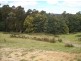 54 Roope Road, Lower Barrington TAS 7306