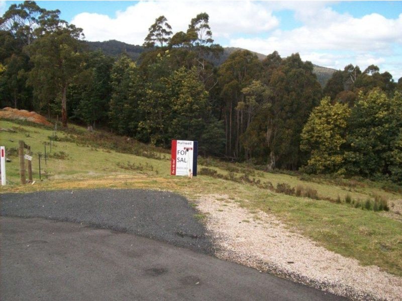 54 Roope Road, Lower Barrington TAS 7306