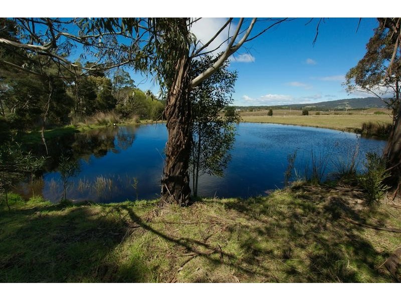 81 Kelcey Tier Road, Spreyton TAS 7310