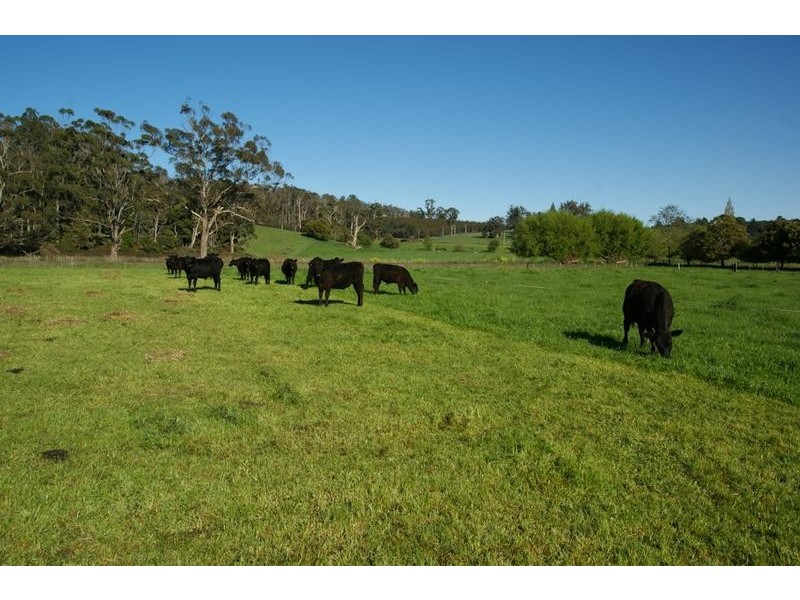34 LAMBERTS ROAD, Railton TAS 7305