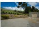 31 River Road, Ambleside TAS 7310