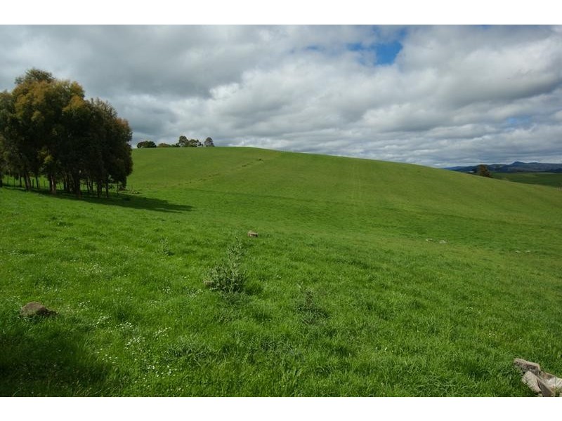 2228 Wilmot Road, Lower Wilmot TAS 7310