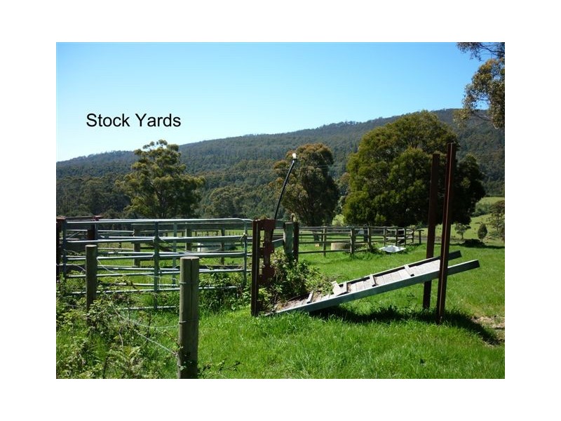 Lot 1 Bramich Road, Nook TAS 7306