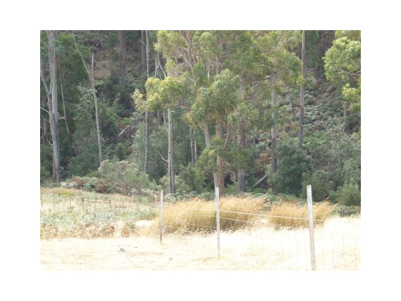 37 Roope Road, Lower Barrington TAS 7306