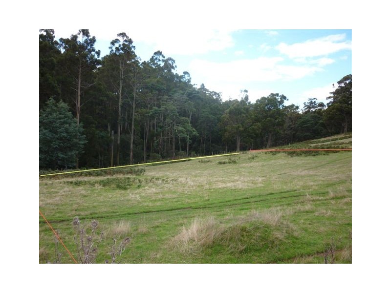 37 Roope Road, Lower Barrington TAS 7306