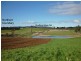 1178 Sheffield Road, Lower Barrington TAS 7306